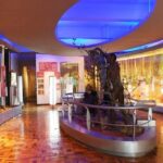 3 Hours Nairobi National Museum - Analyzing the Value