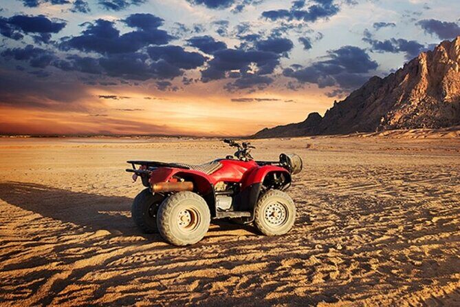 3 Hours Quad Bike with Camel Ride From Sharm El-Sheikh - Final Thoughts