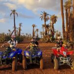 3 Hours Quad Excursion to the palm grove and Jbilat Desert - What’s Included and What’s Not