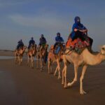 3 hours ride on camel at sunset - The Experience: Details that Make a Difference