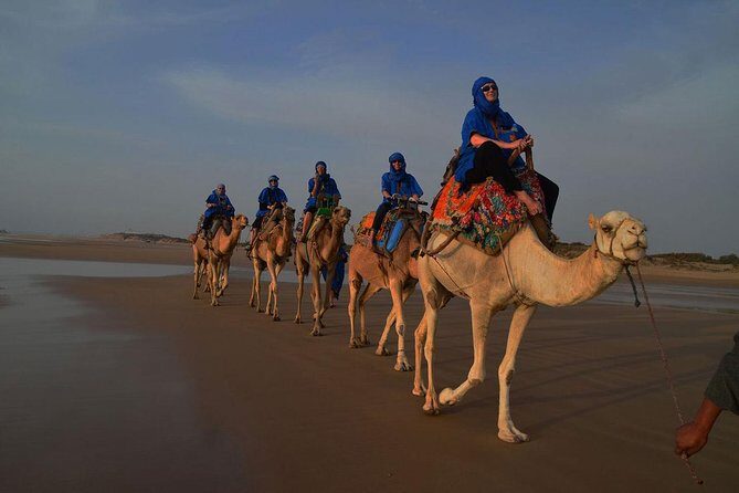 3 hours ride on camel at sunset - The Experience: Details that Make a Difference