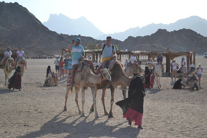 3 Hours Safari Afternoon By ATV Quad & Camel Ride With Transfer - Marsa Alam - Authenticity & Real Traveler Insights
