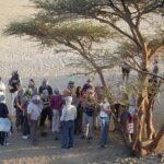 3 Hours Safari Sunrise Or Sunset by ATV Quad Bike Desert Fun - Sharm El Sheikh - The Review Highlights & Traveler Insights