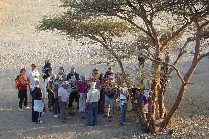 3 Hours Safari Sunrise Or Sunset by ATV Quad Bike Desert Fun - Sharm El Sheikh - The Review Highlights & Traveler Insights