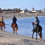 3 Hours Sunrise Horse Riding Beach and Desert from Marsa Alam - Final Thoughts