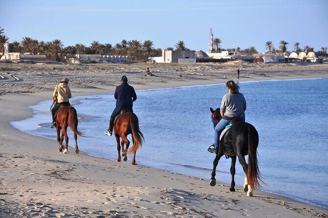 3 Hours Sunrise Horse Riding Beach and Desert from Marsa Alam - Final Thoughts