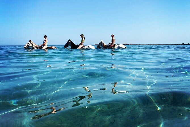3 Hours Swimming By Horse in Red Sea Riding on the Beach and Dessert - Hurghada - The Real Experience: What the Reviews Reveal