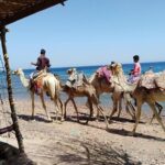 3 Pools National Park and Dahab With Ride Camel _ Sharm El Sheikh - An In-Depth Look at the Experience