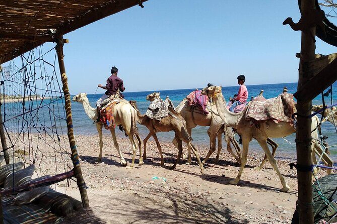 3 Pools National Park and Dahab With Ride Camel _ Sharm El Sheikh - An In-Depth Look at the Experience