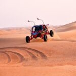 3000cc Dune Buggy & Sandboarding - Private Experience - What Makes This Tour Stand Out