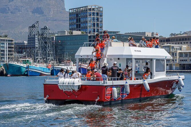 30min Harbour Boat Cruise Cape Town - Final Thoughts