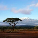 3day Amboseli Park Private safari - The Value: Is the Price Justified?