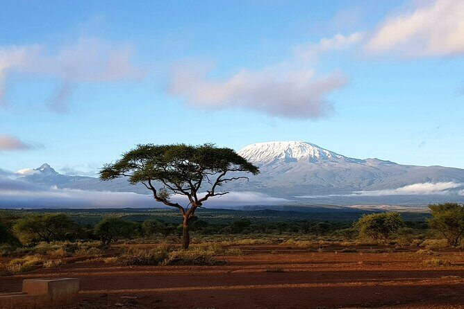 3day Amboseli Park Private safari - The Value: Is the Price Justified?