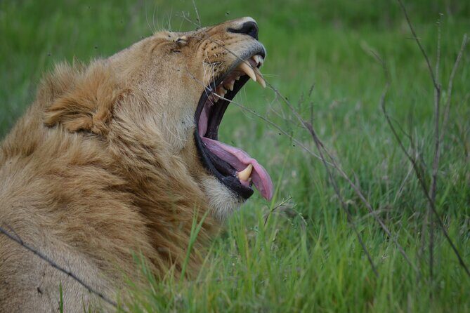 3Days Safari to Tarangire Ngorongoro and manyara lodge safari - Detailed Breakdown of the Itinerary