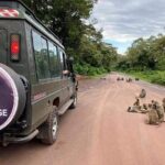 3days Serengeti National park and Ngorongoro Crater Tanzania Safari - Practical Considerations