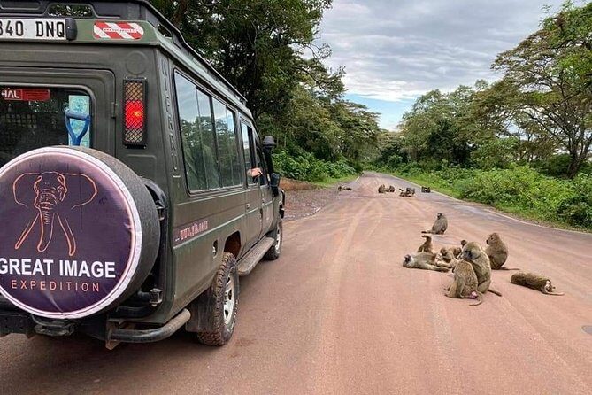 3days Serengeti National park and Ngorongoro Crater Tanzania Safari - Practical Considerations