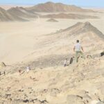 3h Double Buggy in Hurghada - The Practicalities: Comfort, Safety, and Value