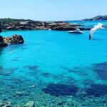 3h Private Cruise + Drinks, Snorkel & Paddle - The Itinerary Breakdown: What to Expect