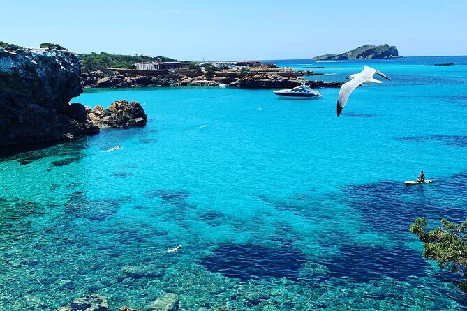 3h Private Cruise + Drinks, Snorkel & Paddle - The Itinerary Breakdown: What to Expect