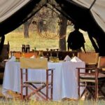4 Day Adventure Lake Manyara , Serengeti & Ngorongoro - Practical Details & What to Expect