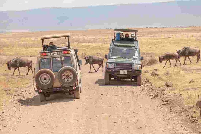4-Day Basic Safari with Serengeti, Ngorongoro, & Tarangire - Final Thoughts: The Real Value of the 4-Day Safari
