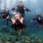 4 Day Certified PADI Open Water Scuba Diver in Dubai - The Experience: What You’ll Actually Do