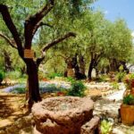 4-Day Christian Tour from Tel Aviv: Jerusalem, Jericho, Bethlehem and Nazareth - FAQs