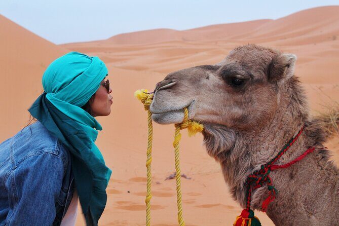 4 day desert tour From Fez to Marrakech Through Merzouga, Valleys & Ouerzazat - Final Thoughts: Is This Tour Right for You?