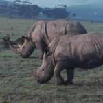 4 Day Garden Route Adventure & Safari - Practical Considerations
