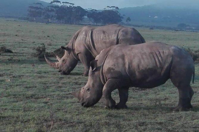 4 Day Garden Route Adventure & Safari - Practical Considerations