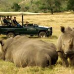 4 Day Garden Route Luxe Selection Micro Group Tour from Cape Town - Exploring the Garden Route in Style and Comfort
