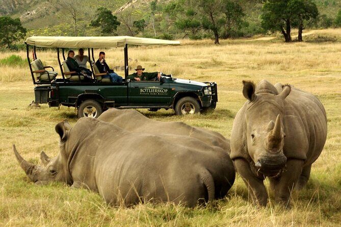4 Day Garden Route Luxe Selection Micro Group Tour from Cape Town - Exploring the Garden Route in Style and Comfort