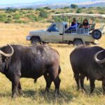 4 Day Garden Route Meander Safari Tour with Private Transfers - Frequently Asked Questions