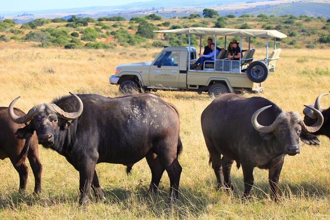 4 Day Garden Route Meander Safari Tour with Private Transfers - Frequently Asked Questions