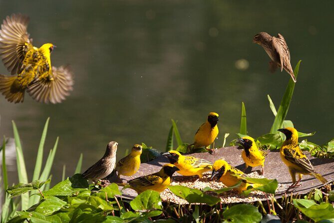 4 Day Garden Route Tour from CapeTown Small Group Hiking and Game - Practical Aspects and Considerations