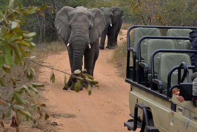 4 Day Greater Kruger Kapama Game Lodge Safari with Panorama Route Journey - Why This Tour Offers Great Value