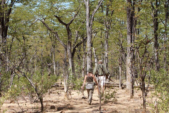 4-Day Group Safari to Tarangire, Serengeti & Ngorongoro Crater - What Makes This Tour Stand Out?