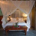 4 Day Katekani Lodge Kruger National Park Safari - Detailed Review of the Experience