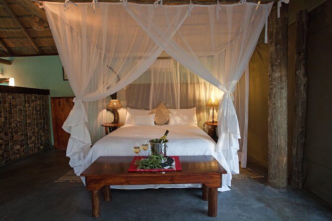 4 Day Katekani Lodge Kruger National Park Safari - Detailed Review of the Experience