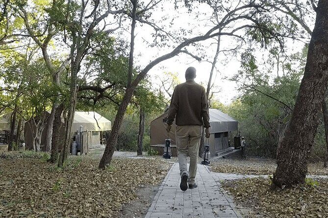 4 Day Kruger Adventure Safari - Itinerary Breakdown: What to Expect