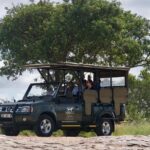 4-Day Kruger National Park Safari including Breakfast and Dinner - The Experience of a Lifetime?