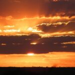 4 Day Kruger National Park Tour - Pricing & Value
