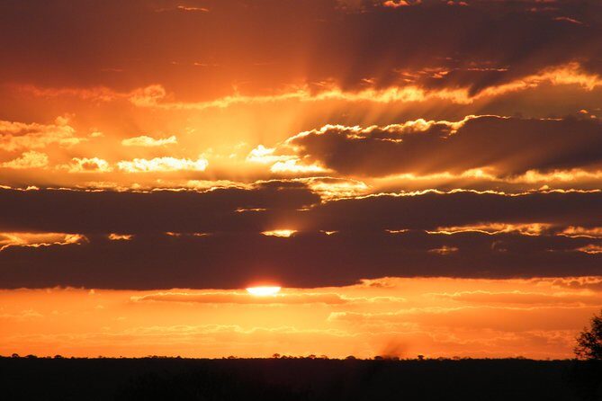 4 Day Kruger National Park Tour - Pricing & Value
