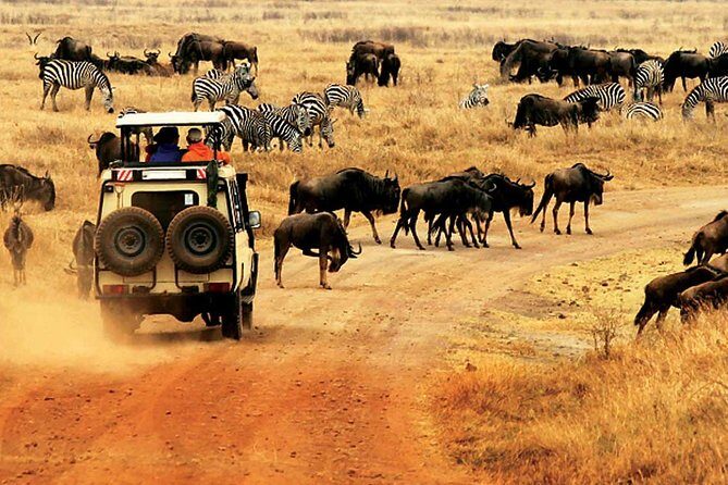 4 Day Mid-range Private Roundtrip Flying from Zanzibar - The Sum Up