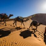 4 Day Private Desert to Merzouga from Marrakech - Exploring the 4-Day Private Desert to Merzouga from Marrakech