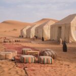 4-day Private Desert Tour Fes to Marrakech with Transfers - What Makes This Tour Stand Out?