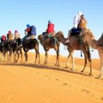 4-Day Private Desert Tour Fez to Marrakech - Why Travelers Love This Tour