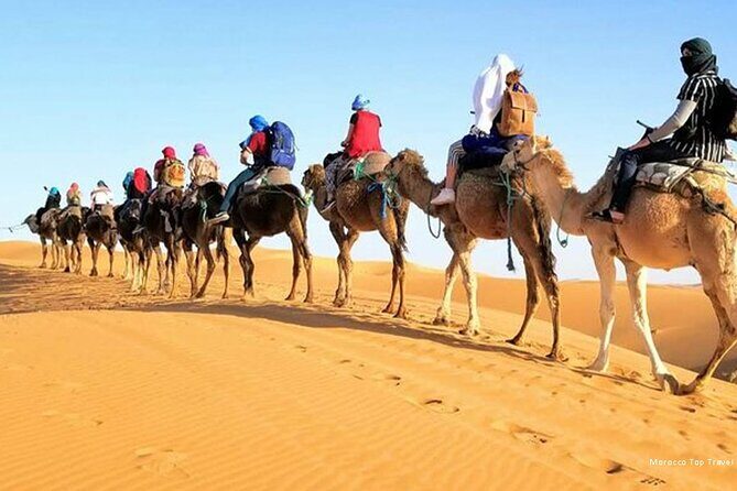 4-Day Private Desert Tour Fez to Marrakech - Why Travelers Love This Tour