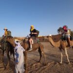 4-Day Private Desert Tour from Fes To Marrakech - Transportation and Accommodation