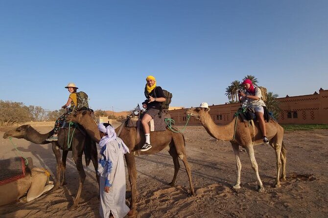4-Day Private Desert Tour from Fes To Marrakech - Transportation and Accommodation